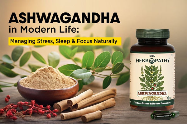 Ashwagandha in Modern Life: Managing Stress, Sleep, and Focus Naturally