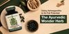 Using Ashwagandha to Its Full Potential: The Ayurvedic Wonder Herb