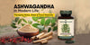 Ashwagandha in Modern Life: Managing Stress, Sleep, and Focus Naturally