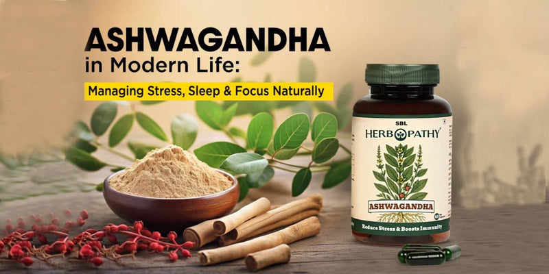 Ashwagandha in Modern Life: Managing Stress, Sleep, and Focus Naturally