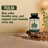 Tulsi – Supports Immunity & Respiration
