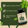 Tulsi – Supports Immunity & Respiration